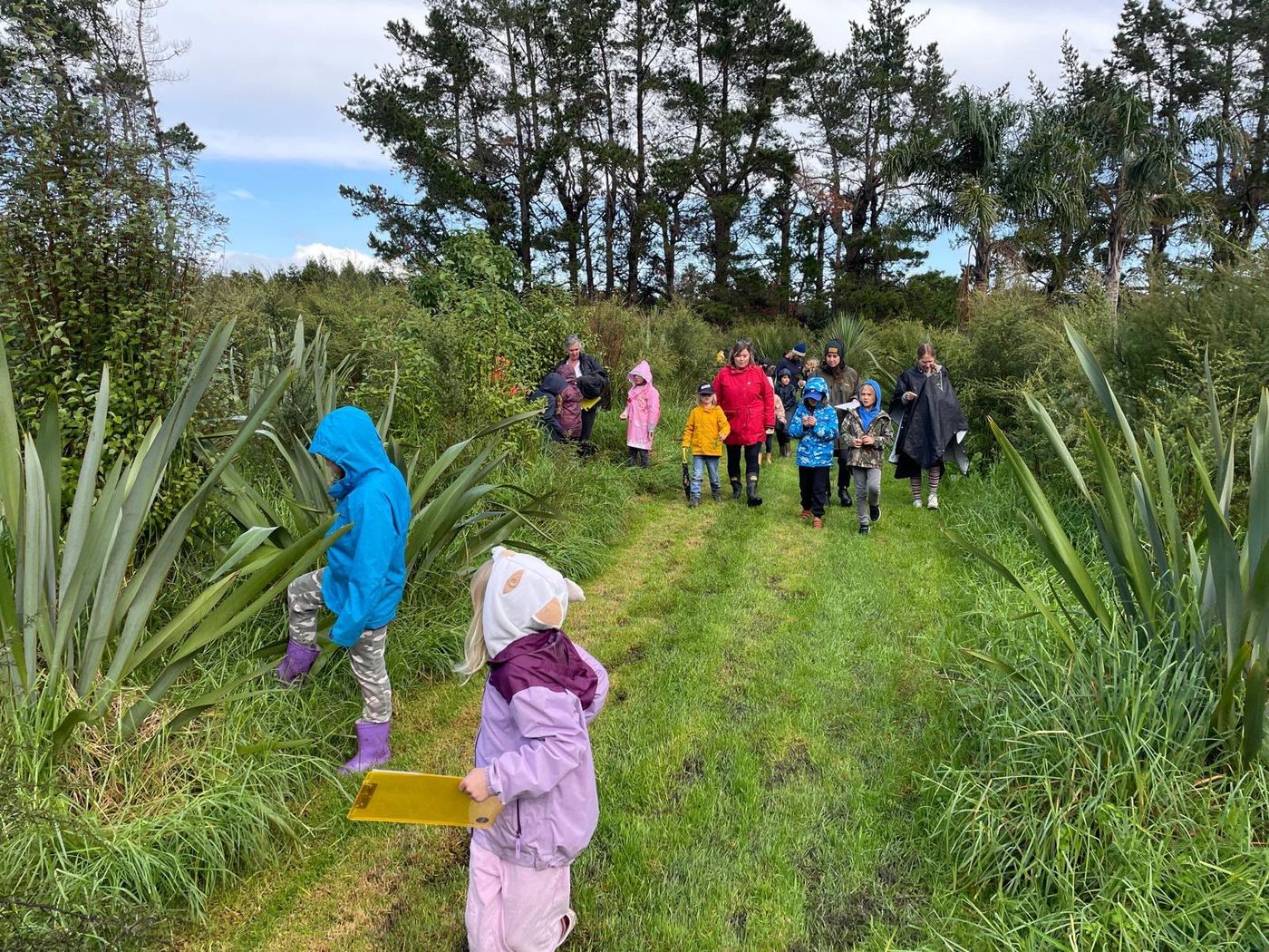 Students with clipboards walking a grassy path between native flax bushes