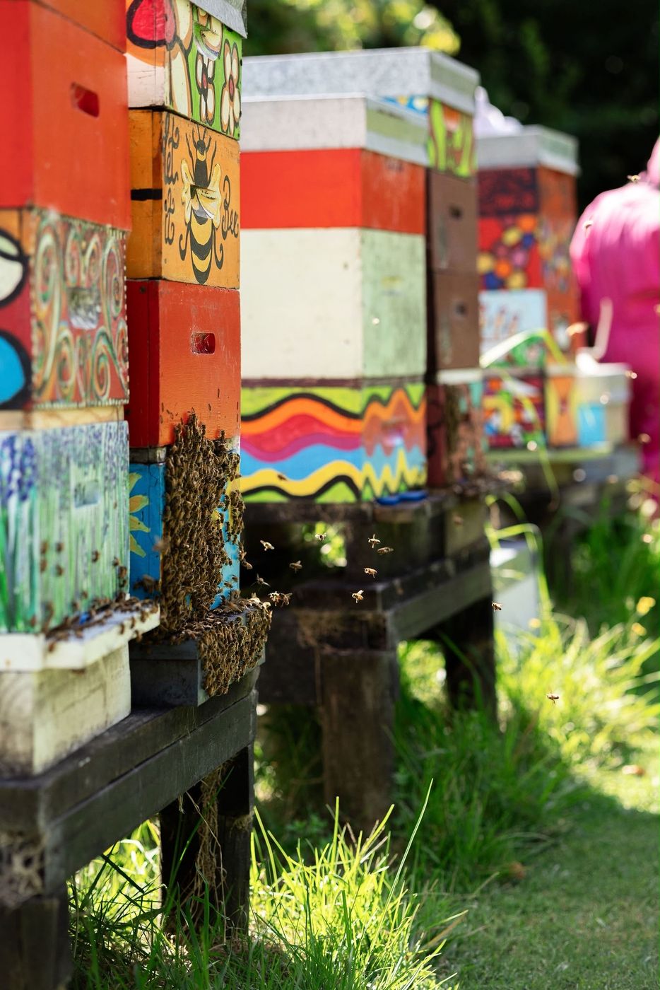 A row of brightly painted beehives with bees flying