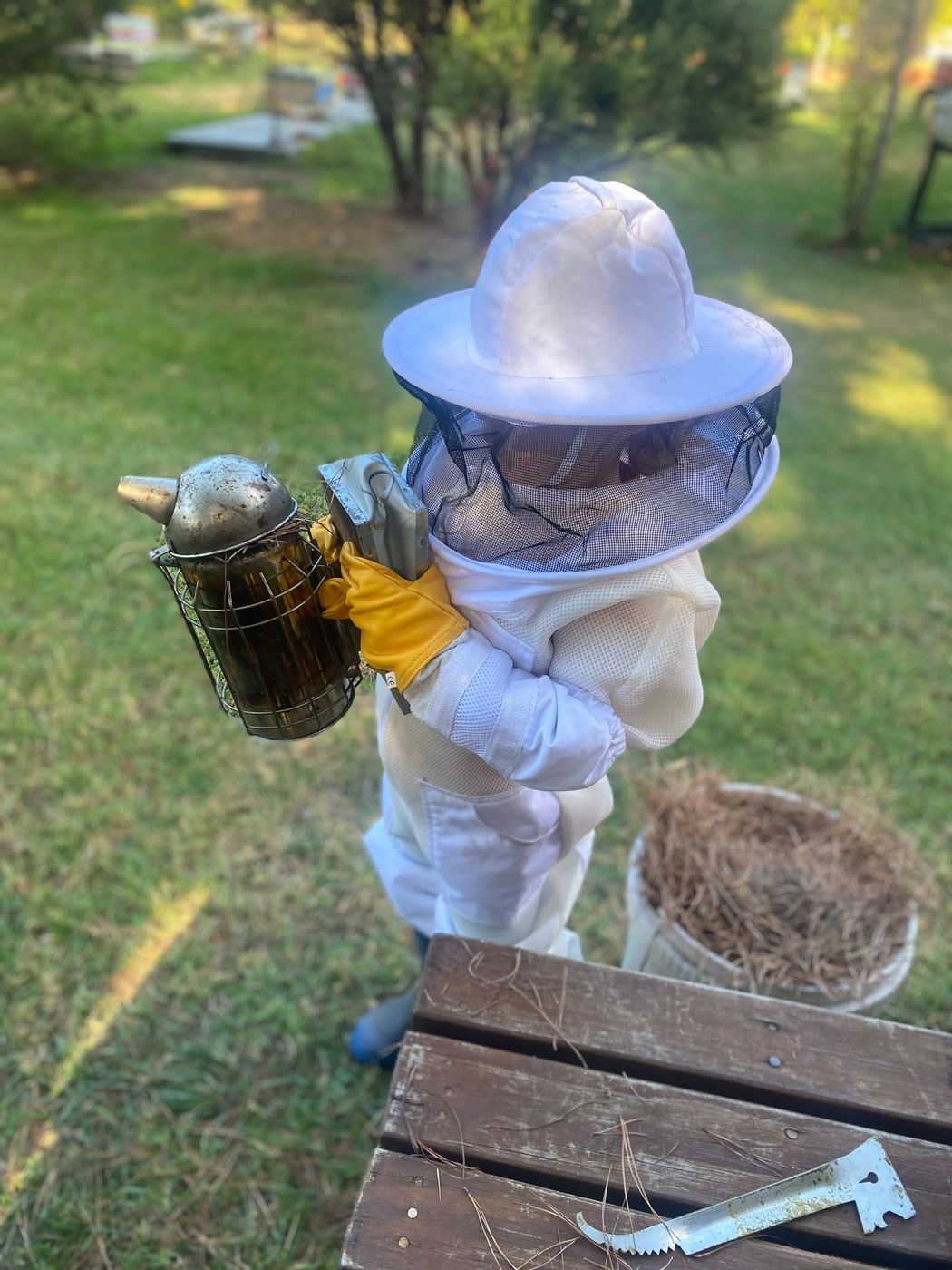 A young student in a full bee suit holding a smoker
