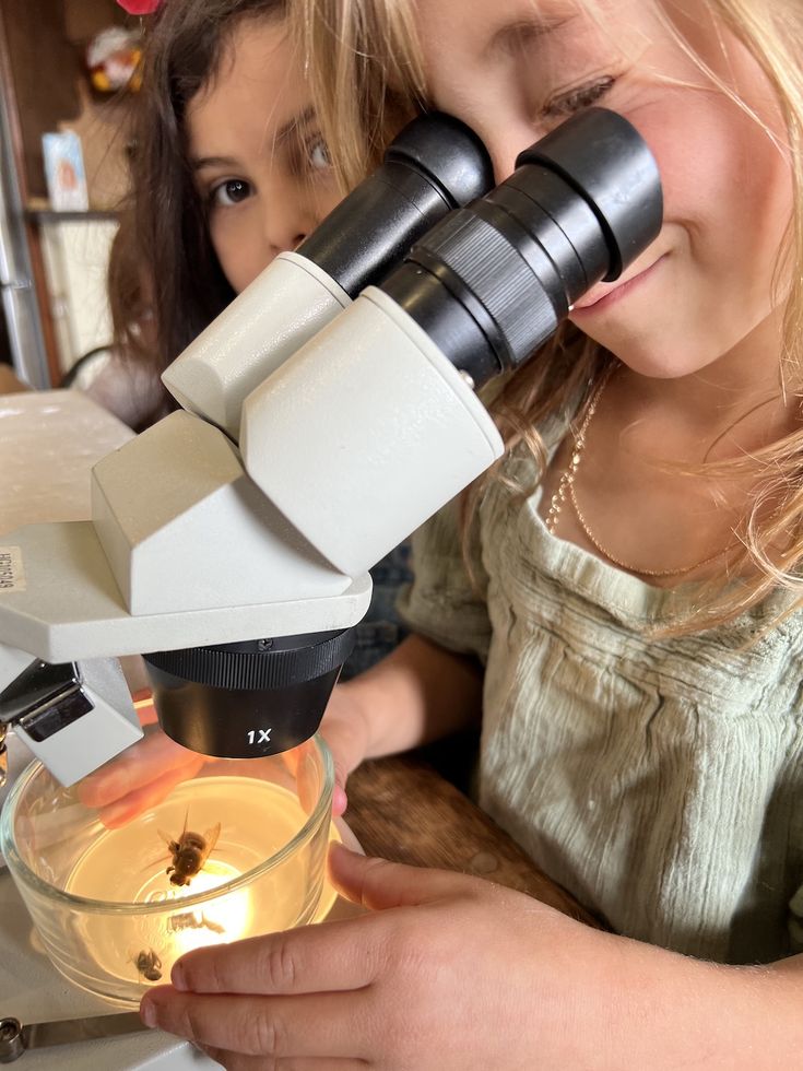 A child looking through a microscope at a bee